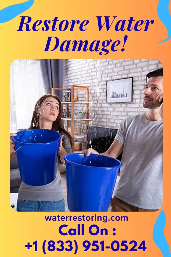water restoration Shield Property Restoration Professionals Cannelburg
