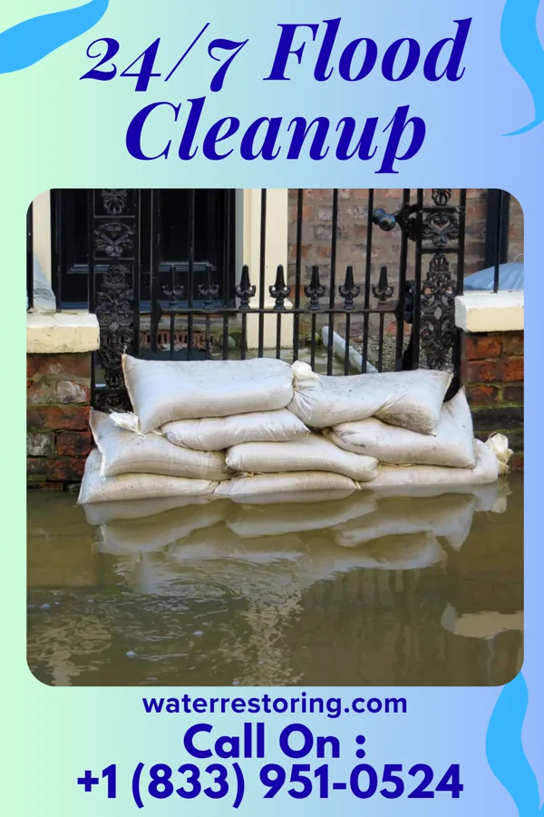 24/7 Flood Cleanup in Cannelburg, IN