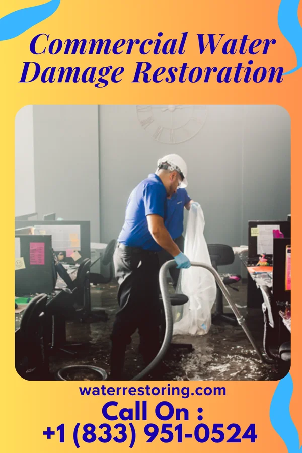 Commercial Water Damage Restoration in Cannelburg, IN