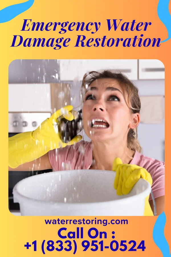 Emergency Water Damage Restoration in Cannelburg, IN