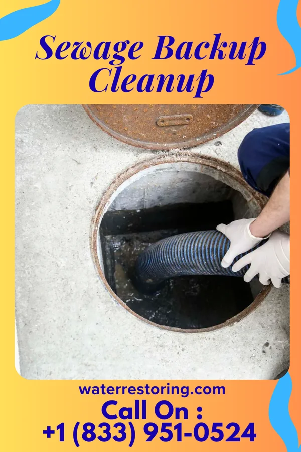 Sewage Backup Cleanup in Cannelburg, IN